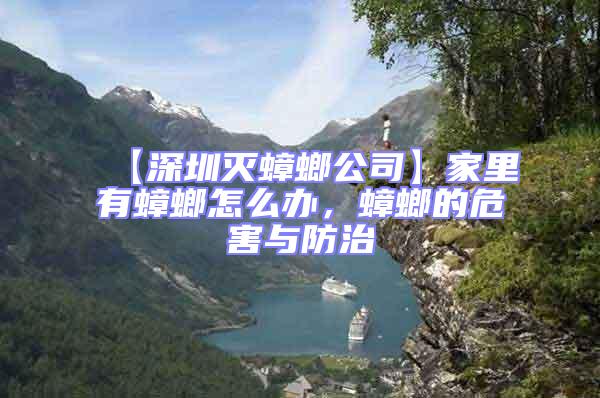 【深圳滅蟑螂公司】家里有蟑螂怎么辦，蟑螂的危害與防治