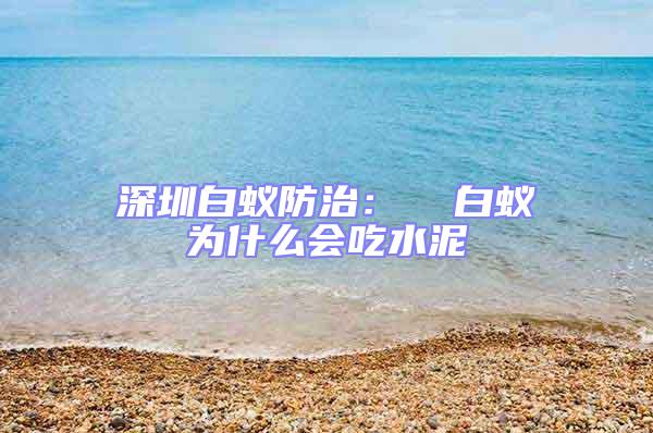 深圳白蟻防治:  白蟻為什么會吃水泥