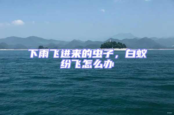 下雨飛進來的蟲子，白蟻紛飛怎么辦