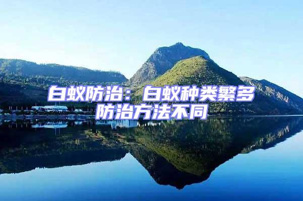 白蟻防治:白蟻種類繁多防治方法不同