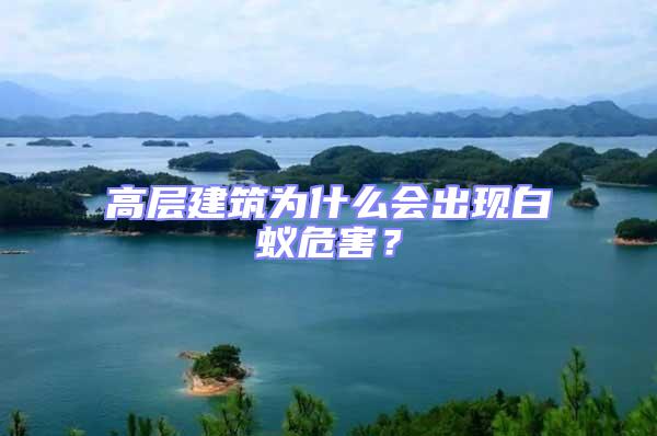 高層建筑為什么會出現白蟻危害？
