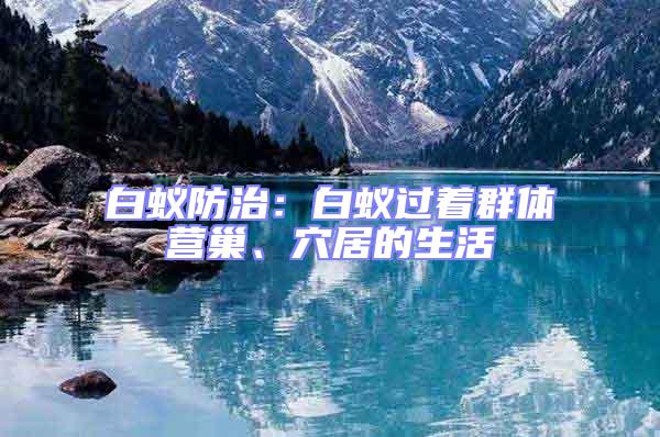 白蟻防治:白蟻過著群體營巢、穴居的生活