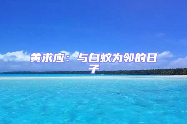 黃求應(yīng):與白蟻為鄰的日子