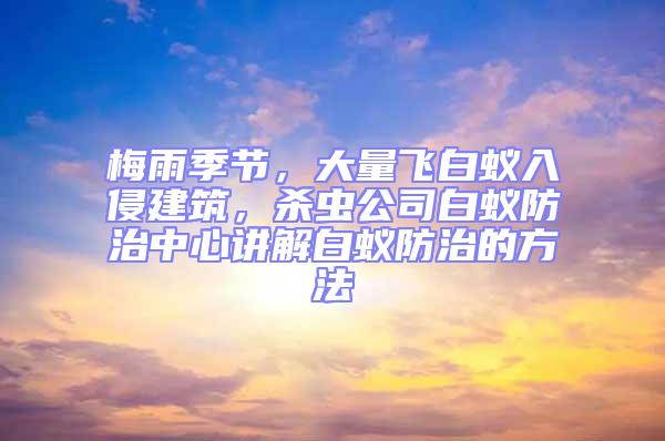 梅雨季節(jié),大量飛白蟻入侵建筑,殺蟲公司白蟻防治中心講解白蟻防治的方法