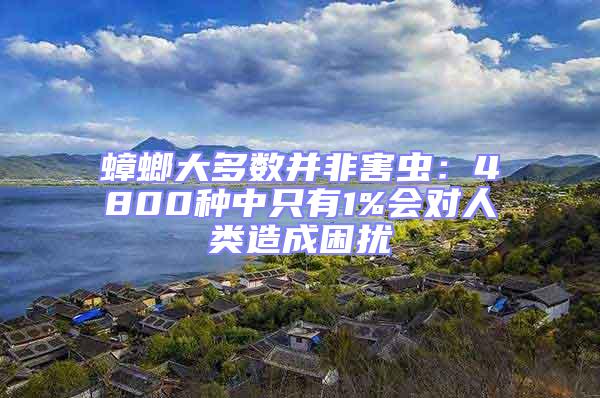 蟑螂大多數并非害蟲:4800種中只有1%會對人類造成困擾