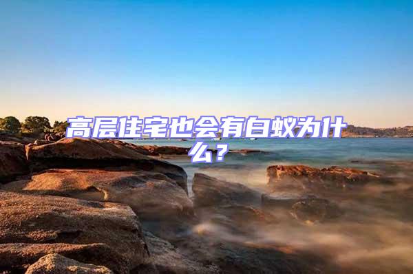 高層住宅也會(huì)有白蟻為什么?