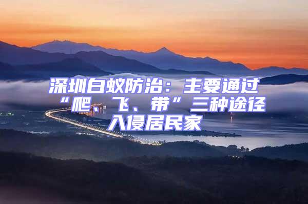 深圳白蟻防治：主要通過“爬、飛、帶”三種途徑入侵居民家