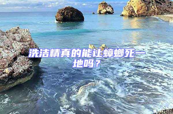洗潔精真的能讓蟑螂死一地嗎?