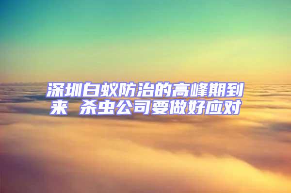 深圳白蟻防治的高峰期到來 殺蟲公司要做好應對