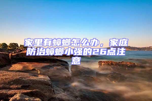 家里有蟑螂怎么辦,家庭防治蟑螂小強的26點注意