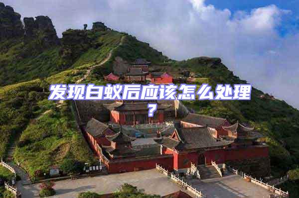 發(fā)現(xiàn)白蟻后應(yīng)該怎么處理?