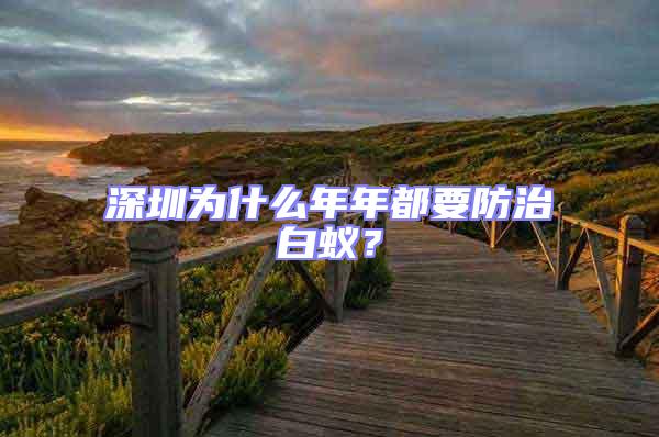 深圳為什么年年都要防治白蟻?