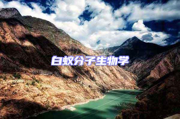白蟻分子生物學(xué)