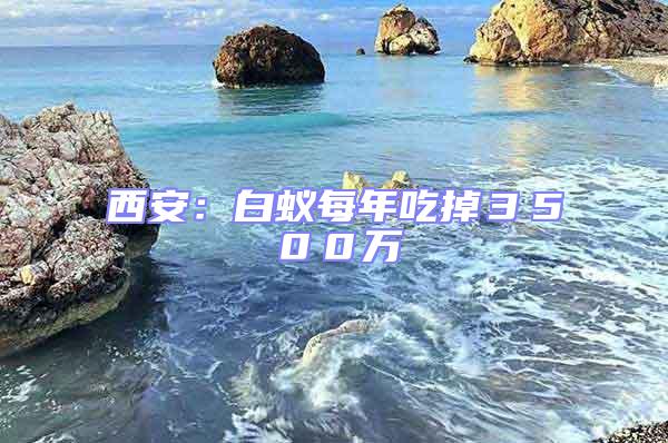 西安:白蟻每年吃掉3500萬