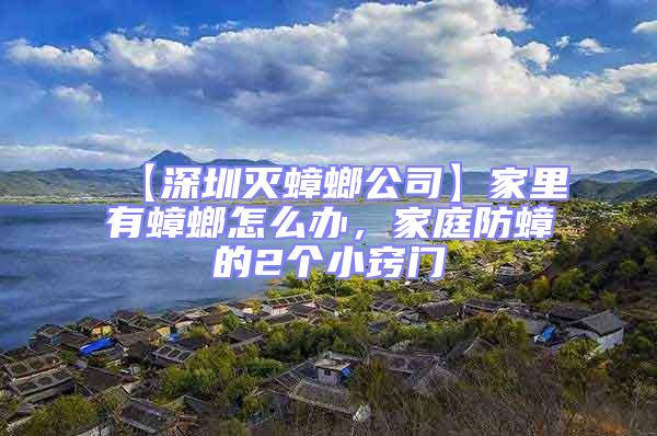 【深圳滅蟑螂公司】家里有蟑螂怎么辦,家庭防蟑的2個小竅門