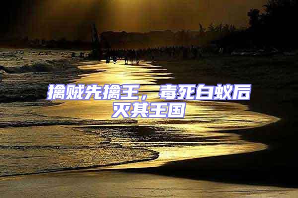 擒賊先擒王,毒死白蟻后滅其王國