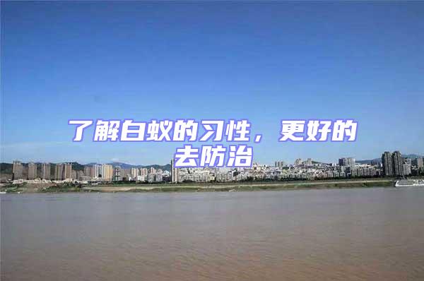 了解白蟻的習(xí)性，更好的去防治