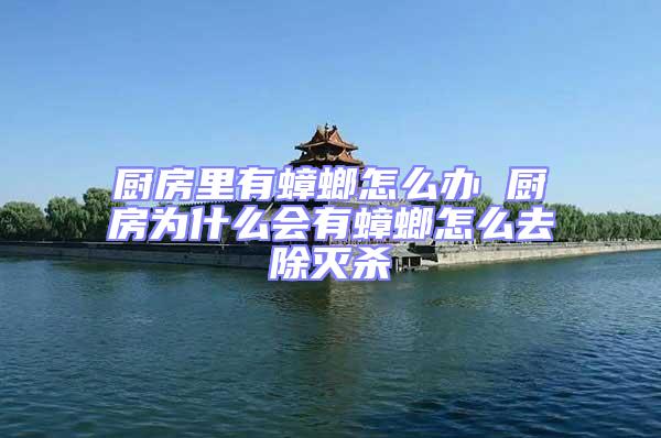 廚房里有蟑螂怎么辦 廚房為什么會(huì)有蟑螂怎么去除滅殺