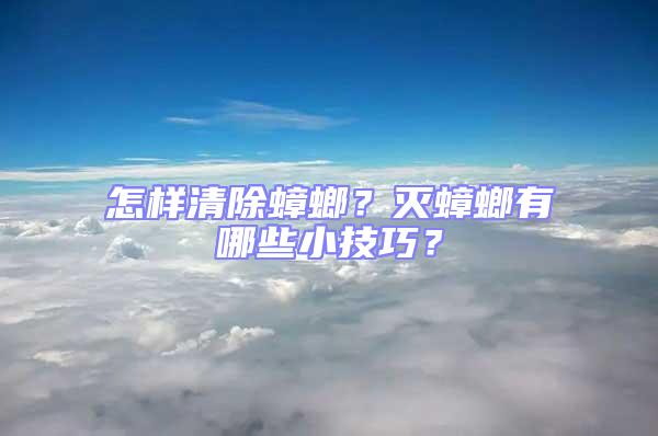 怎樣清除蟑螂?滅蟑螂有哪些小技巧?