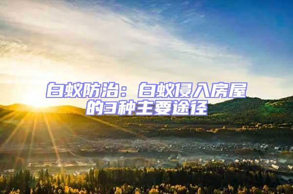 白蟻防治:白蟻侵入房屋的3種主要途徑
