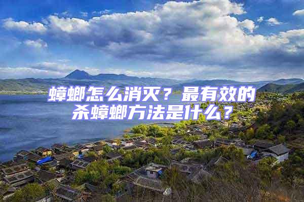 蟑螂怎么消滅?最有效的殺蟑螂方法是什么?
