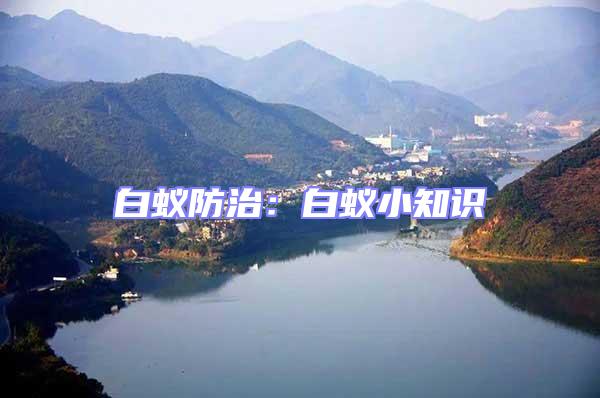 白蟻防治:白蟻小知識