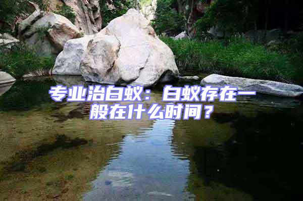 專業治白蟻:白蟻存在一般在什么時間?