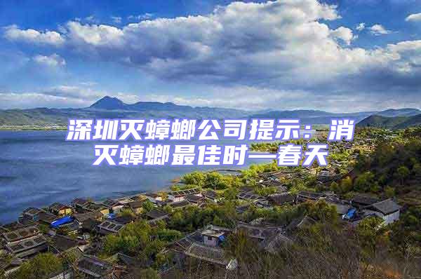 深圳滅蟑螂公司提示:消滅蟑螂最佳時—春天