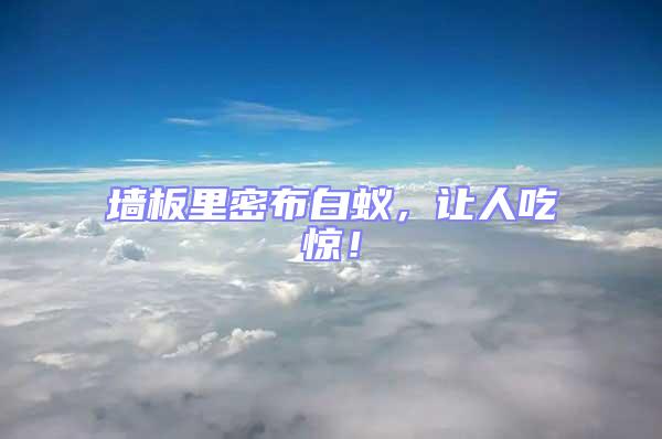 墻板里密布白蟻，讓人吃驚！