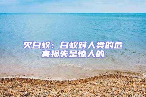 滅白蟻:白蟻對人類的危害損失是驚人的