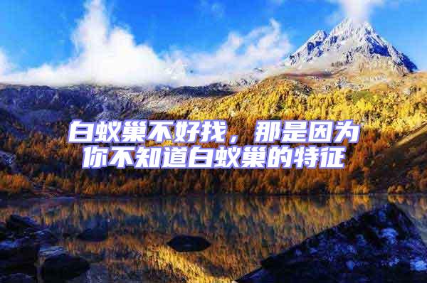 白蟻巢不好找,那是因為你不知道白蟻巢的特征