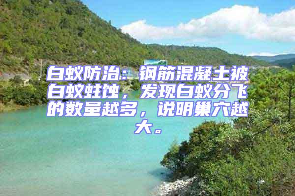 白蟻防治:鋼筋混凝土被白蟻蛀蝕,發(fā)現(xiàn)白蟻分飛的數(shù)量越多,說明巢穴越大。