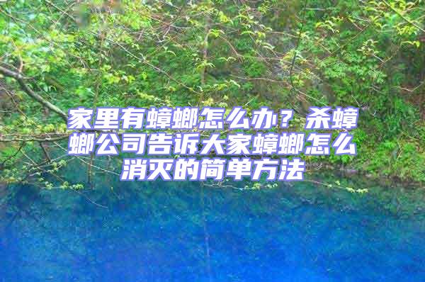 家里有蟑螂怎么辦？殺蟑螂公司告訴大家蟑螂怎么消滅的簡單方法