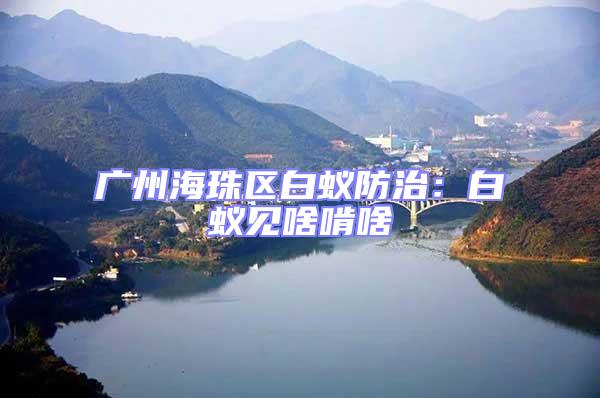 廣州海珠區白蟻防治:白蟻見啥啃啥