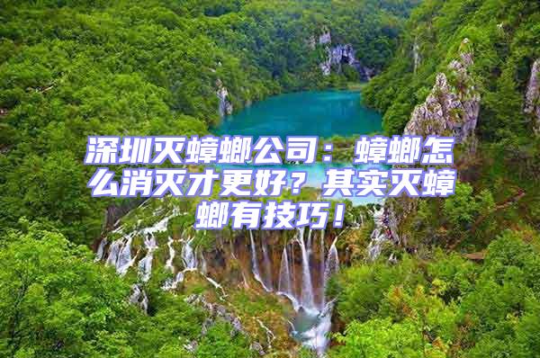 深圳滅蟑螂公司:蟑螂怎么消滅才更好?其實(shí)滅蟑螂有技巧!