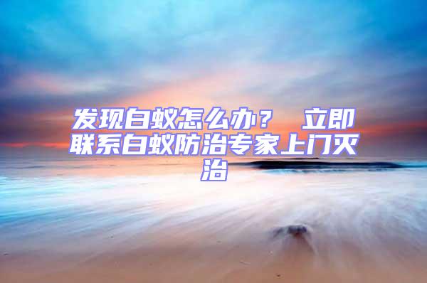 發現白蟻怎么辦? 立即聯系白蟻防治專家上門滅治