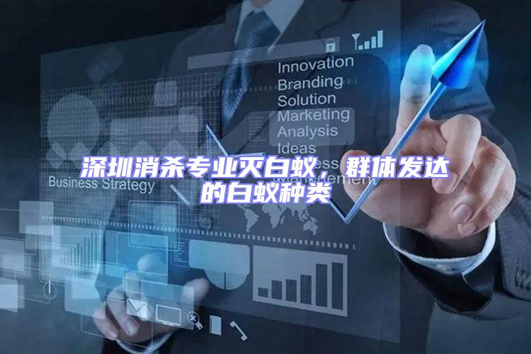 深圳消殺專業(yè)滅白蟻,群體發(fā)達的白蟻種類