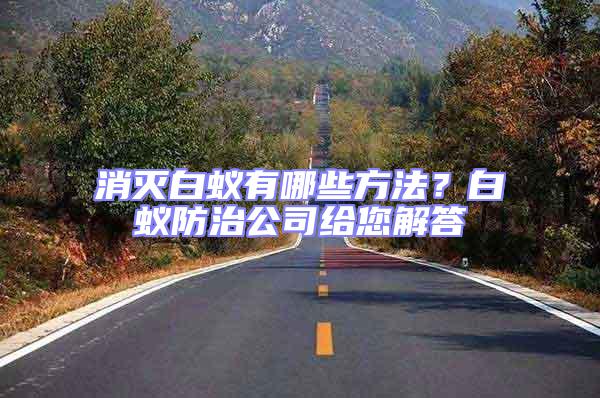消滅白蟻有哪些方法?白蟻防治公司給您解答