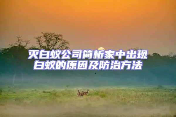 滅白蟻公司簡(jiǎn)析家中出現(xiàn)白蟻的原因及防治方法