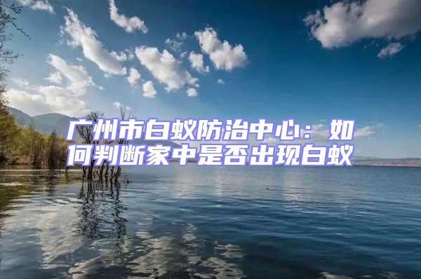 廣州市白蟻防治中心:如何判斷家中是否出現白蟻