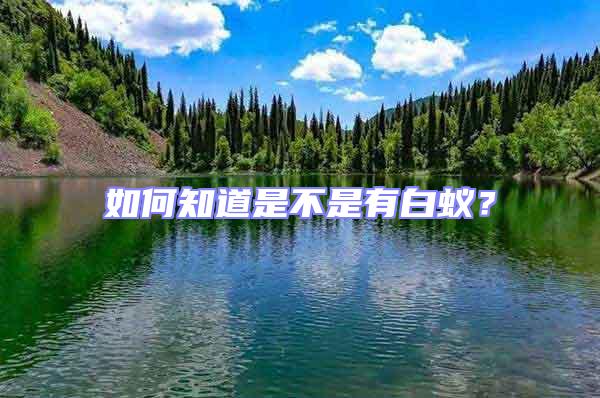 如何知道是不是有白蟻?