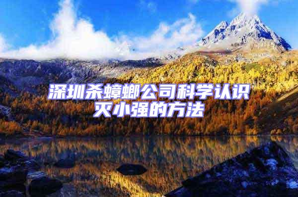 深圳殺蟑螂公司科學認識滅小強的方法