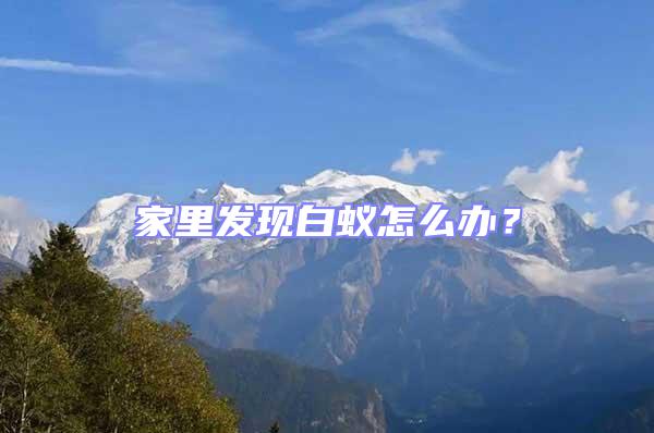 家里發現白蟻怎么辦?