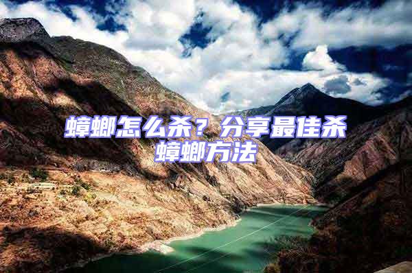 蟑螂怎么殺？分享最佳殺蟑螂方法
