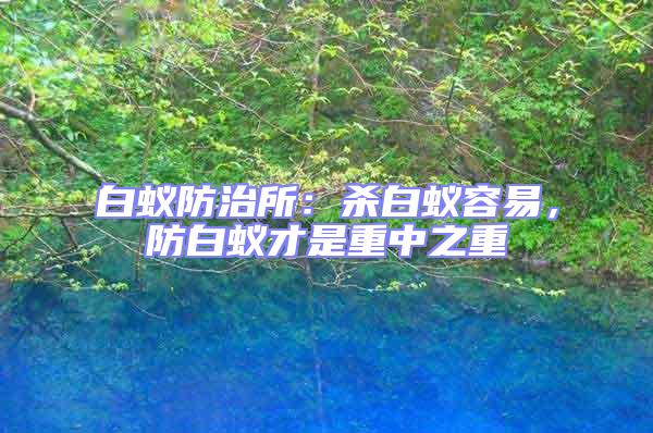 白蟻防治所:殺白蟻容易,防白蟻才是重中之重