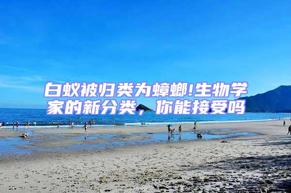 白蟻被歸類為蟑螂!生物學家的新分類,你能接受嗎
