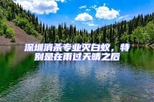 深圳消殺專業滅白蟻,特別是在雨過天晴之后