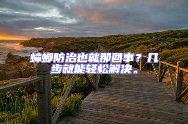 蟑螂防治也就那回事？幾步就能輕松解決。