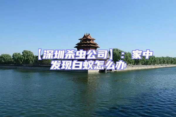【深圳殺蟲公司】:家中發現白蟻怎么辦
