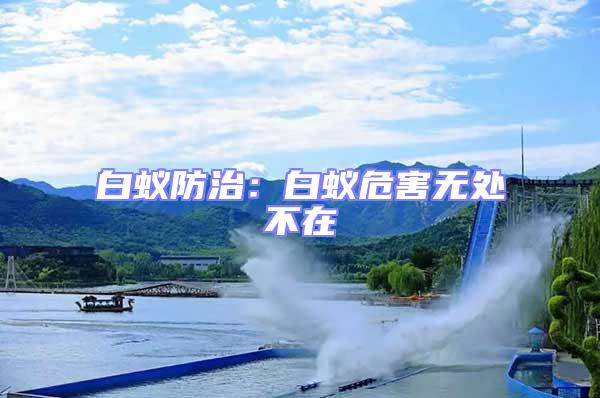 白蟻防治:白蟻危害無處不在
